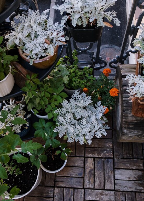 Sfaturi practice pentru organizarea unei grădini urbane pe balcon